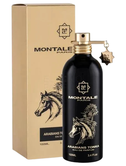 Arabians Tonka MAGH-0097